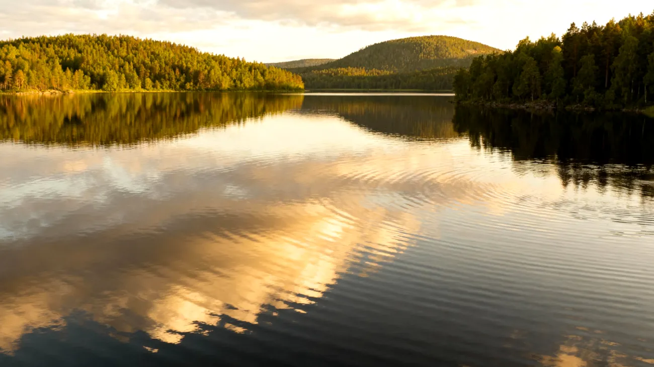 Regione dei Laghi finlandesi (Saimaa)"